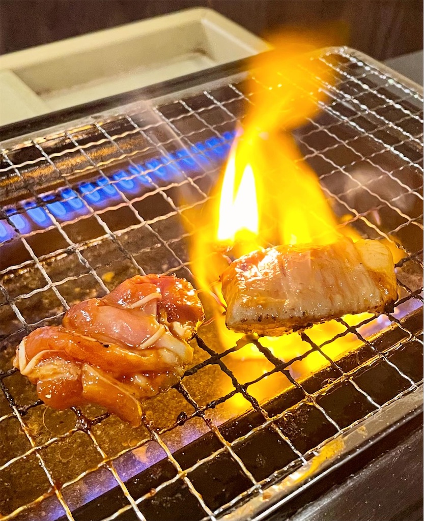 f:id:hisa69740:20240126065331j:image