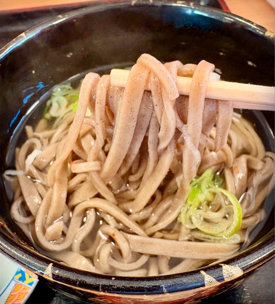 f:id:hisa69740:20250528221139j:image