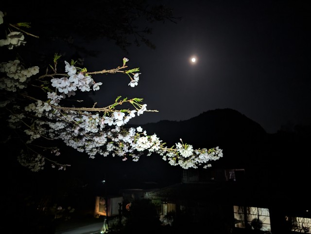 f:id:hisacamp:20250412161918j:image