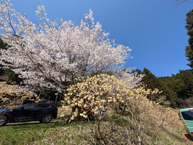 f:id:hisacamp:20250412162111j:image