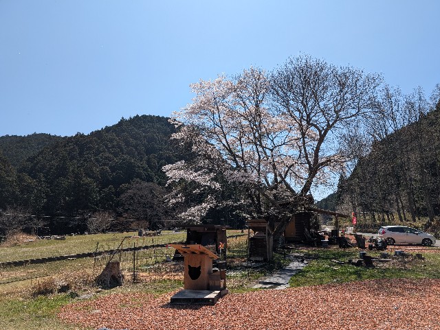 f:id:hisacamp:20250412162145j:image