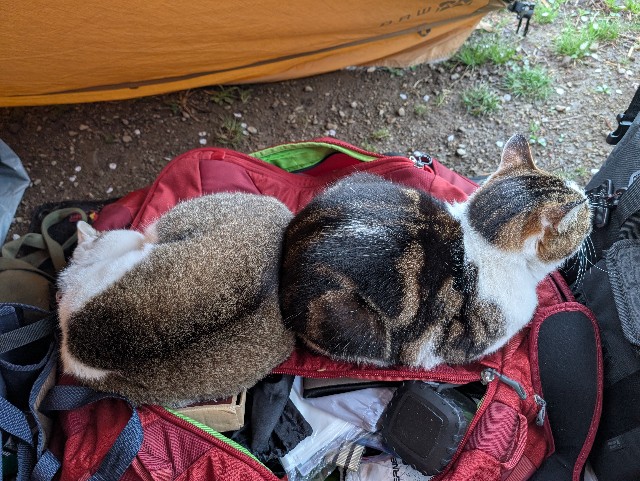 f:id:hisacamp:20250412162233j:image