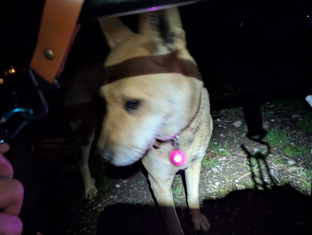 f:id:hisacamp:20250412162248j:image