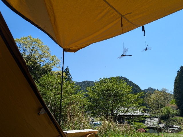 f:id:hisacamp:20250429152104j:image