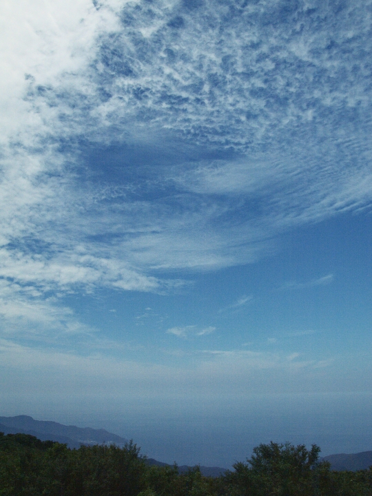 f:id:hisadoi:20090712111627j:image f:id:hisadoi:20090712111627j:image