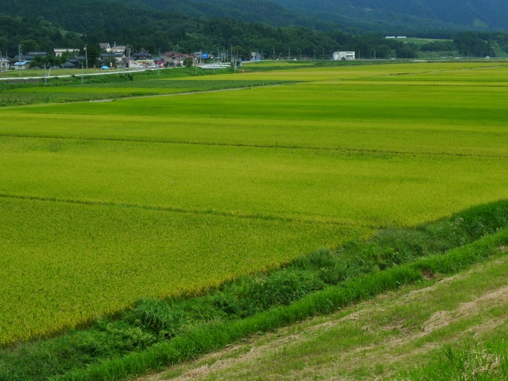 f:id:hisadoi:20090912135835j:image f:id:hisadoi:20090912135835j:image