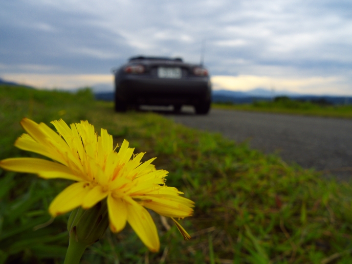 f:id:hisadoi:20090912140235j:image f:id:hisadoi:20090912140235j:image