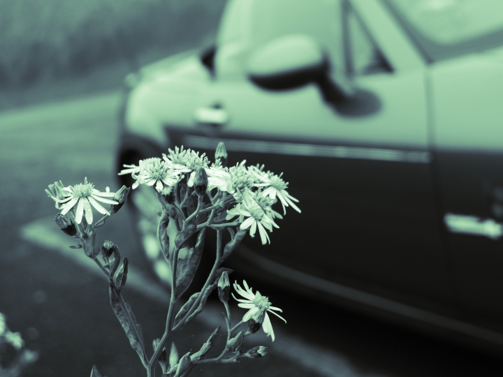 f:id:hisadoi:20090922082924j:image