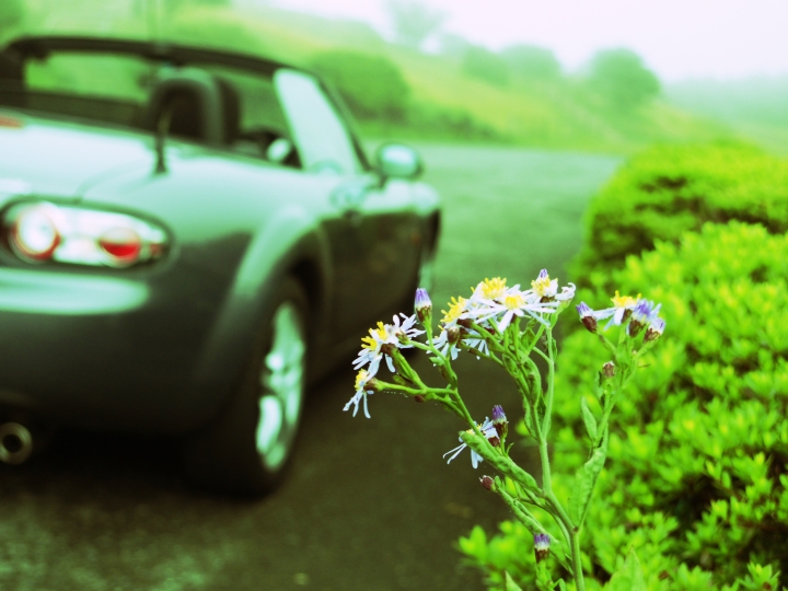 f:id:hisadoi:20090922082943j:image