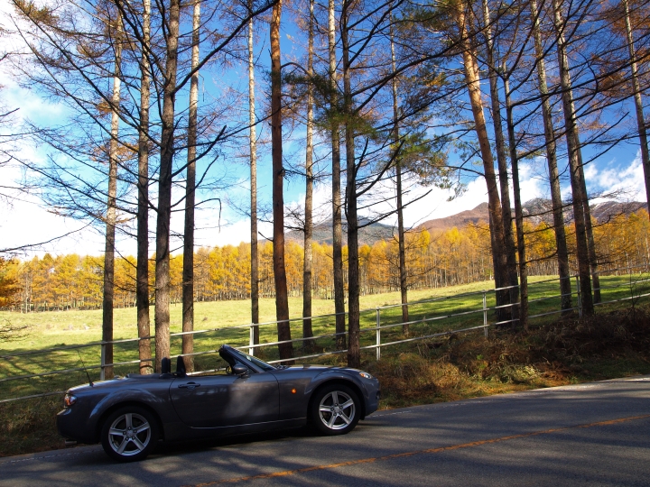 f:id:hisadoi:20091103085033j:image