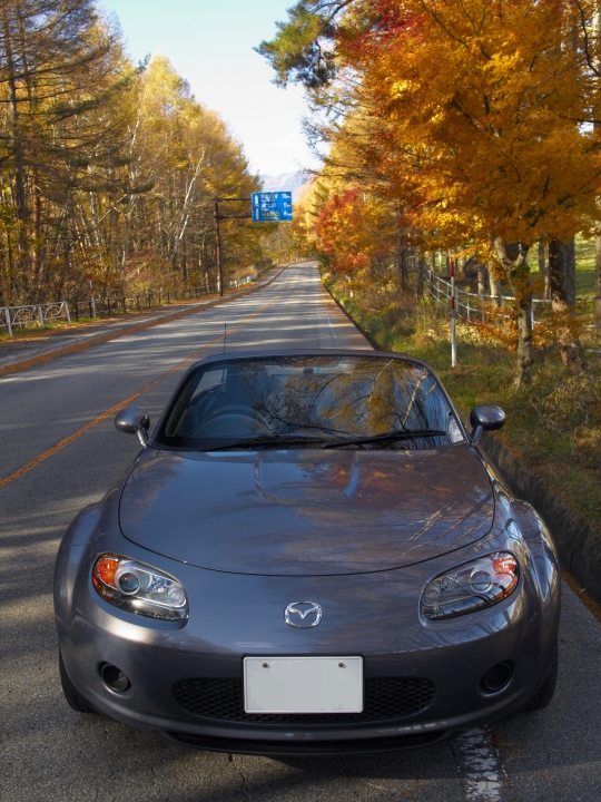 f:id:hisadoi:20091103085111j:image