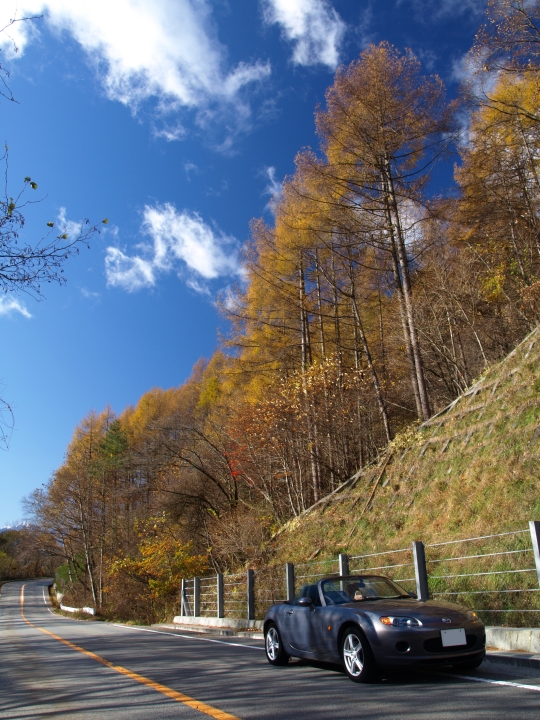 f:id:hisadoi:20091103090335j:image