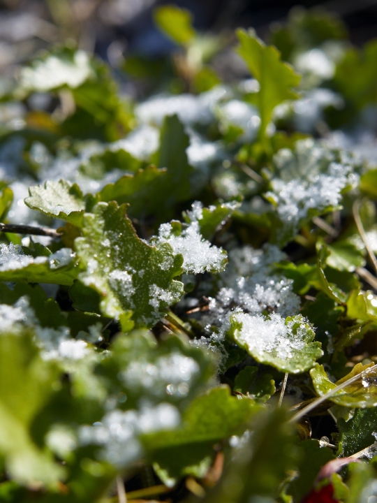 f:id:hisadoi:20091103091124j:image