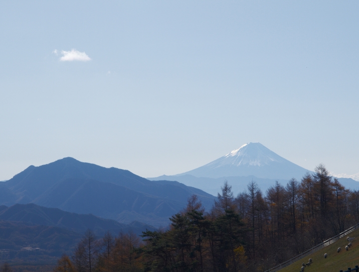 f:id:hisadoi:20091103091309j:image