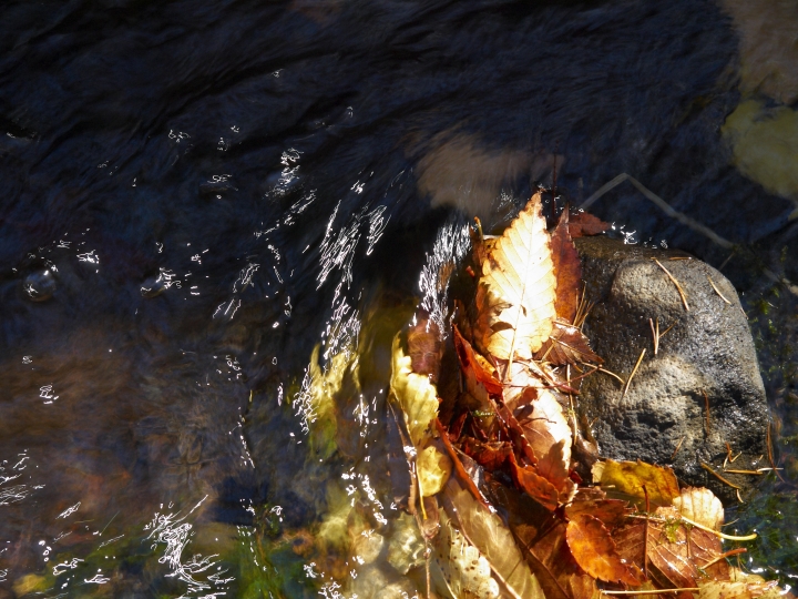 f:id:hisadoi:20091103105329j:image