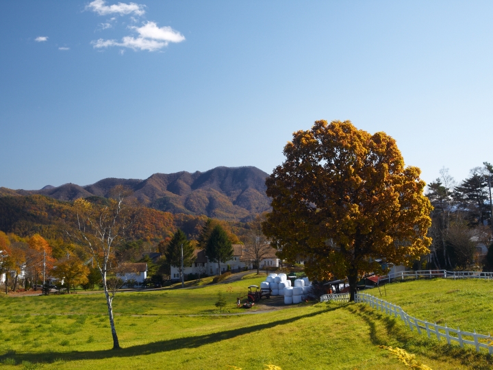 f:id:hisadoi:20091103132121j:image