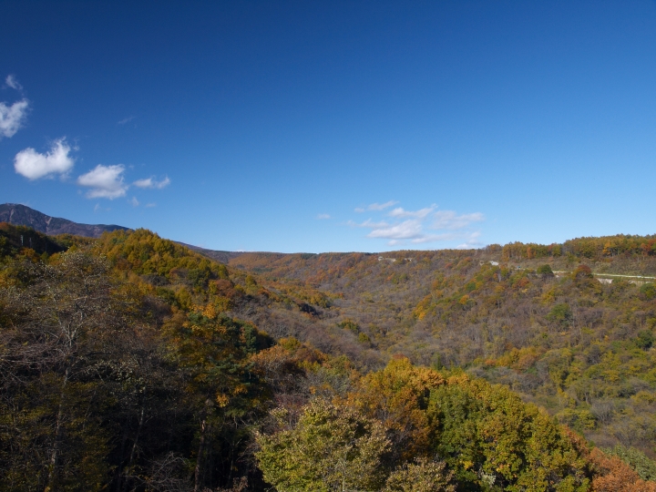 f:id:hisadoi:20091103140318j:image