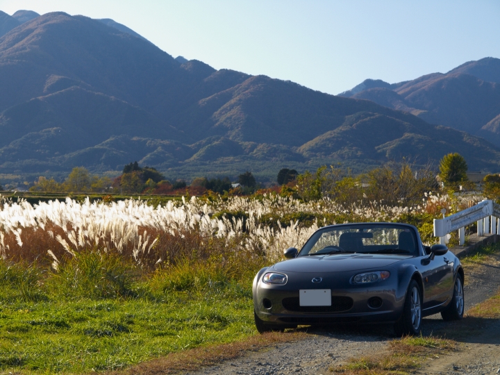 f:id:hisadoi:20091103144310j:image