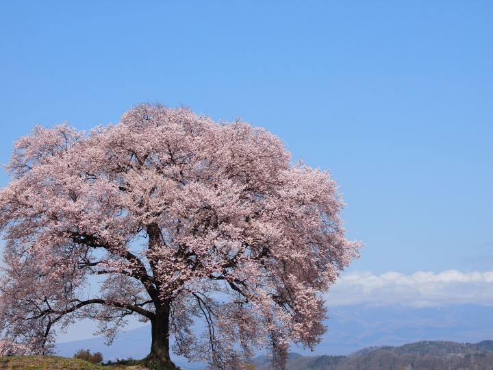 f:id:hisadoi:20100410112129j:image f:id:hisadoi:20100410112129j:image