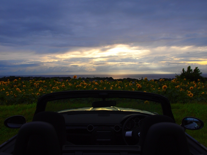 f:id:hisadoi:20100808174226j:image f:id:hisadoi:20100808174226j:image