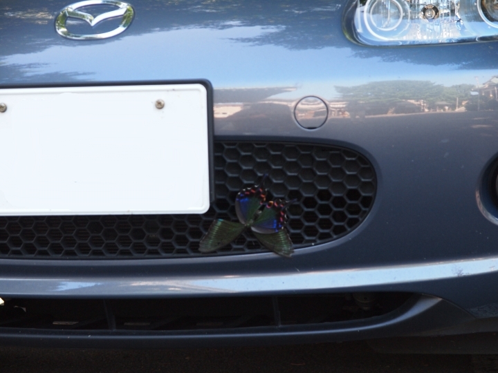 f:id:hisadoi:20100814074232j:image