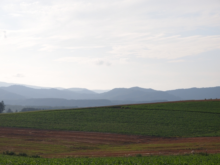 f:id:hisadoi:20100814164901j:image