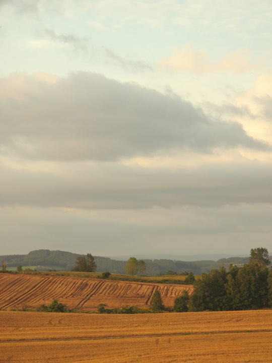 f:id:hisadoi:20100814180707j:image