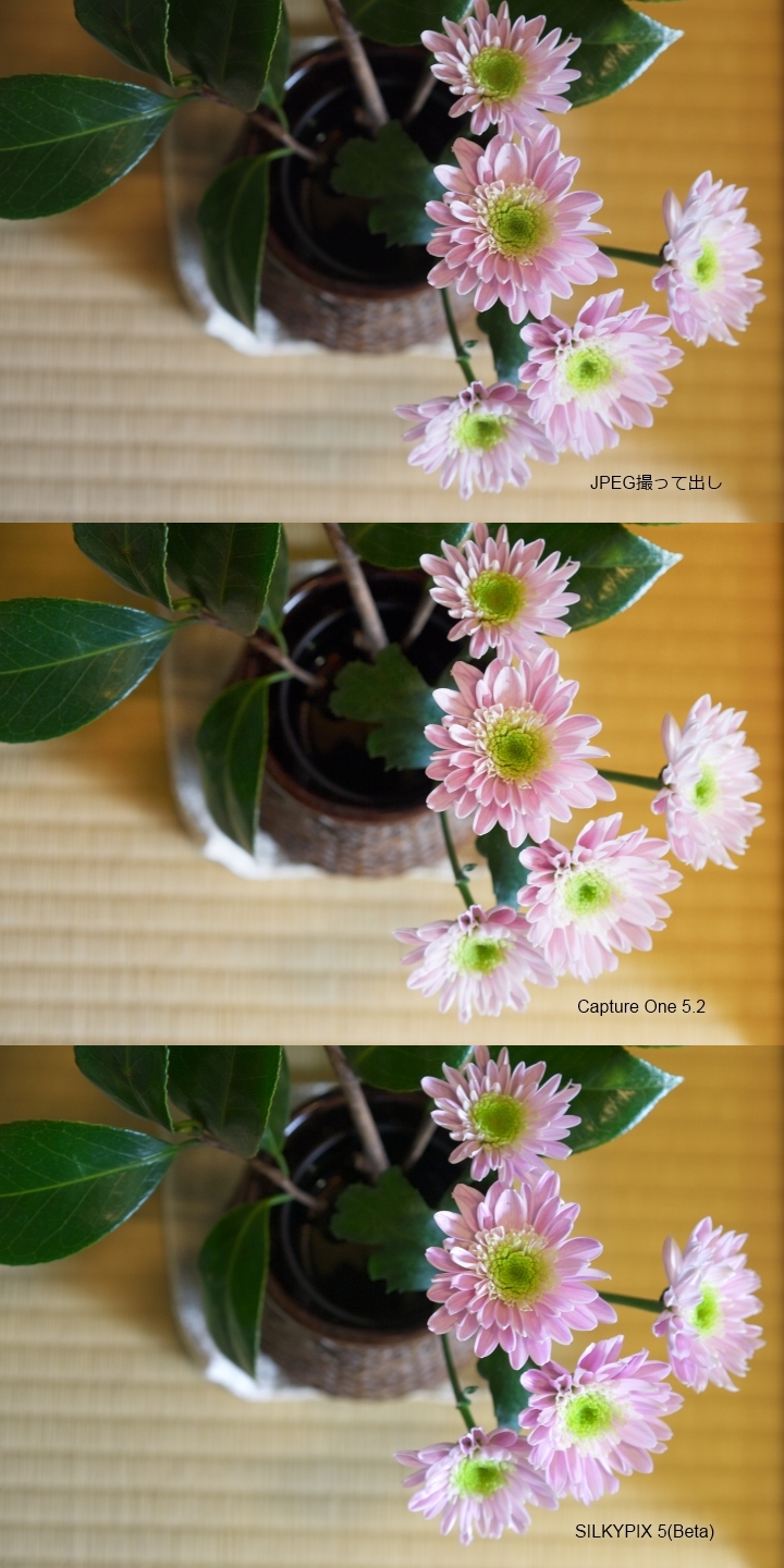 f:id:hisadoi:20110212224549j:image