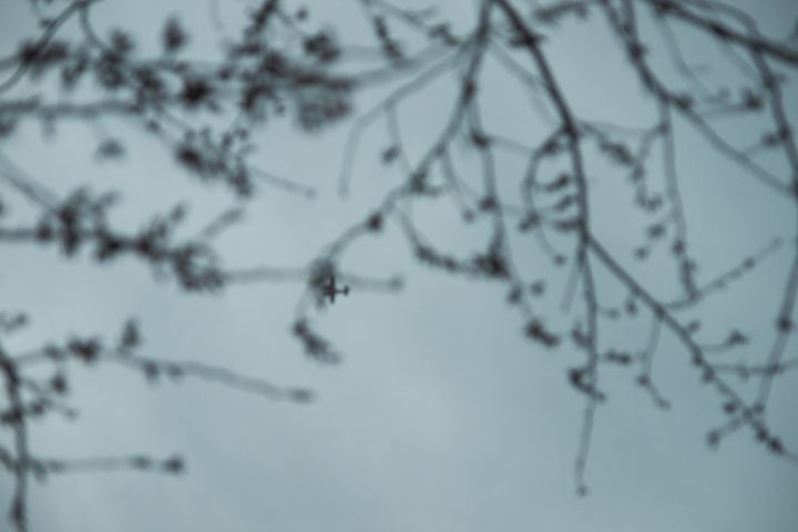 f:id:hisadoi:20110403063213j:image f:id:hisadoi:20110403063213j:image