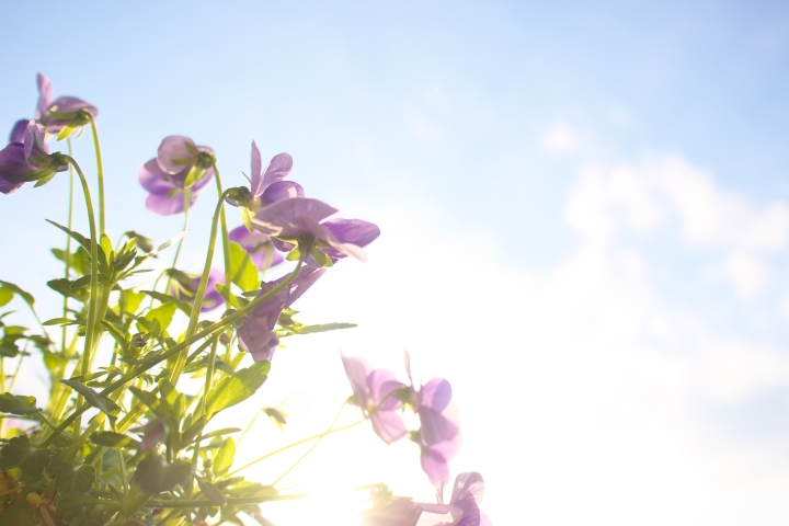 f:id:hisadoi:20120401171126j:image