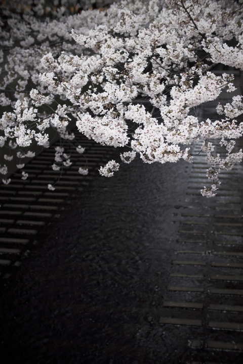 f:id:hisadoi:20120407131631j:image