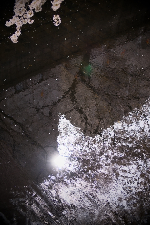 f:id:hisadoi:20120407132112j:image