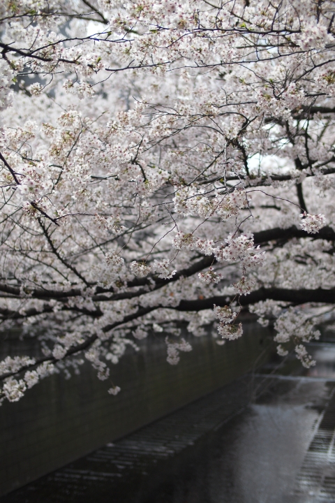 f:id:hisadoi:20120407132129j:image