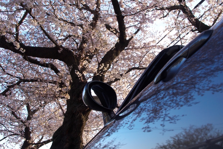 f:id:hisadoi:20120408065150j:image f:id:hisadoi:20120408065150j:image