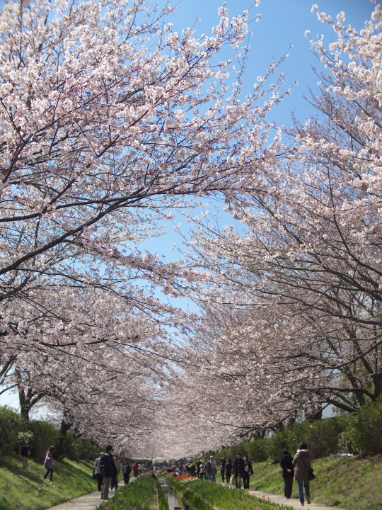 f:id:hisadoi:20120408130620j:image f:id:hisadoi:20120408130620j:image