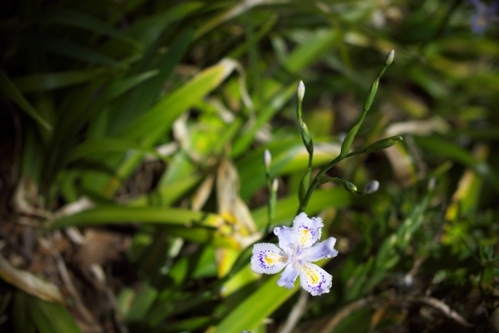 f:id:hisadoi:20120408134454j:image f:id:hisadoi:20120408134454j:image