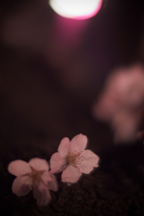 f:id:hisadoi:20120408190419j:image f:id:hisadoi:20120408190419j:image