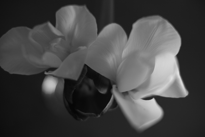 f:id:hisadoi:20120421131333j:image