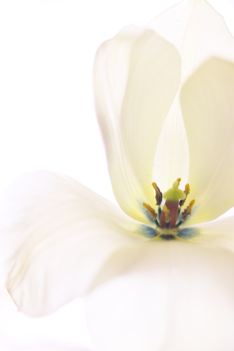 f:id:hisadoi:20120421132927j:image