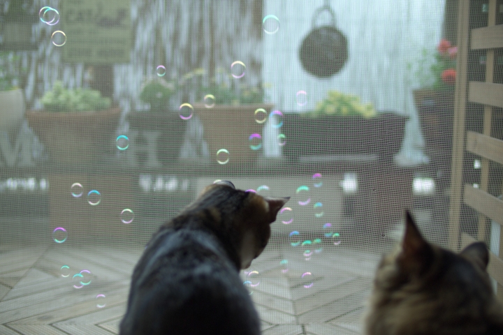 f:id:hisadoi:20120610171840j:image f:id:hisadoi:20120610171840j:image
