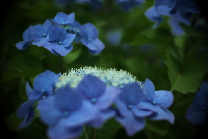 f:id:hisadoi:20120617140302j:image