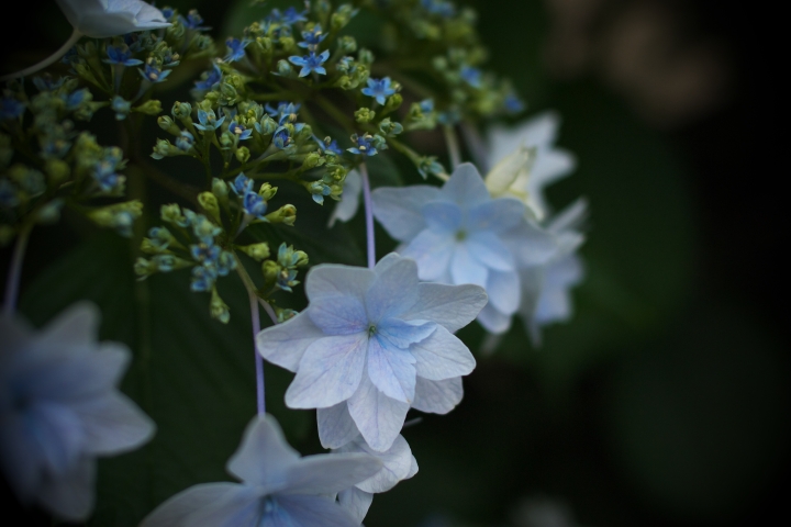 f:id:hisadoi:20120617140541j:image