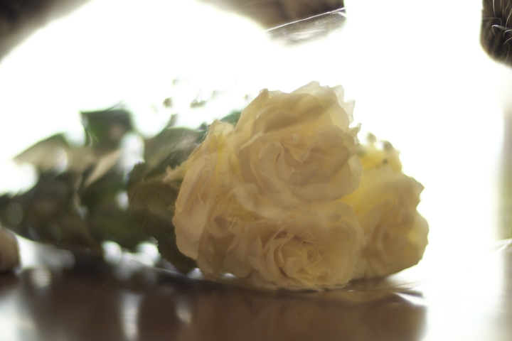 f:id:hisadoi:20120701154313j:image f:id:hisadoi:20120701154313j:image