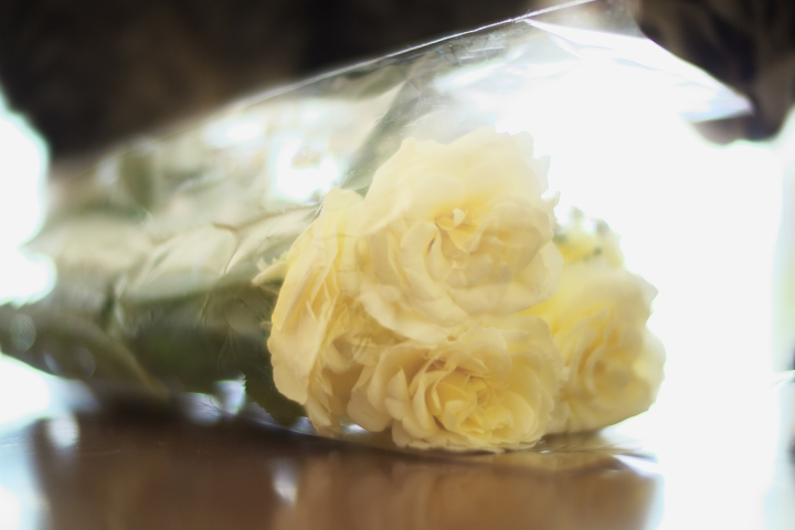 f:id:hisadoi:20120701154320j:image f:id:hisadoi:20120701154320j:image