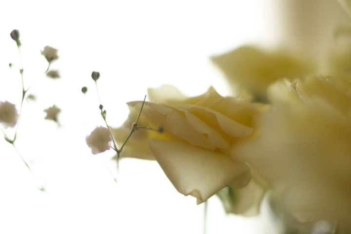 f:id:hisadoi:20120701160002j:image f:id:hisadoi:20120701160002j:image