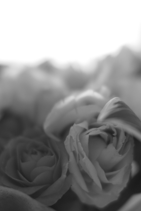 f:id:hisadoi:20120707083602j:image