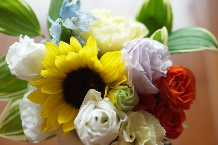 f:id:hisadoi:20120707101311j:image