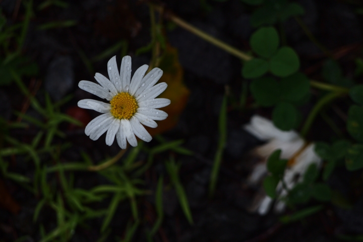 f:id:hisadoi:20120715090623j:image f:id:hisadoi:20120715090623j:image