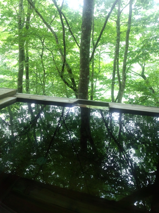 f:id:hisadoi:20120715123208j:image f:id:hisadoi:20120715123208j:image