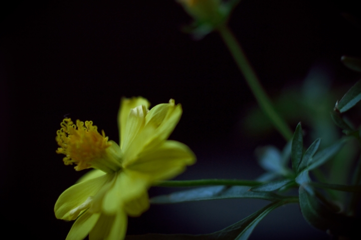 f:id:hisadoi:20121006171007j:image f:id:hisadoi:20121006171007j:image